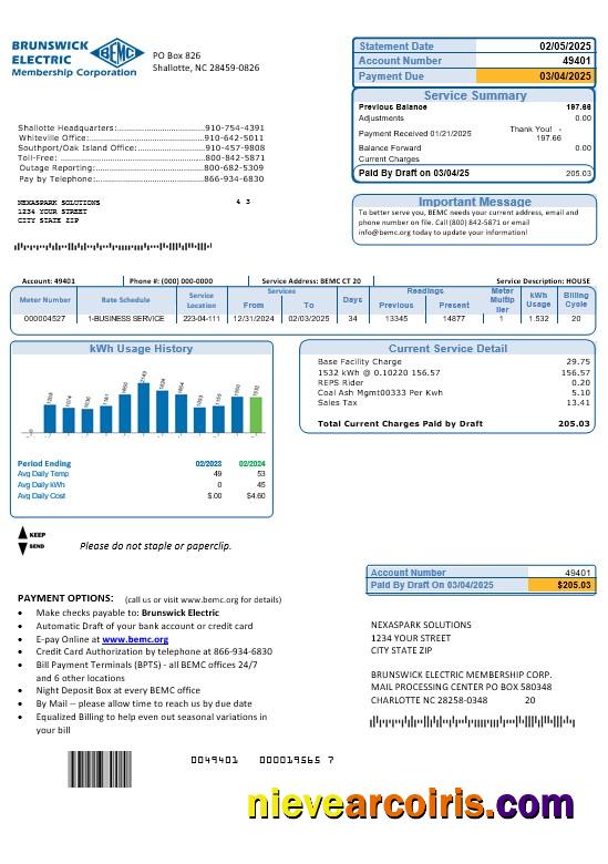 USA North Carolina Brunswick Electric business utility bill